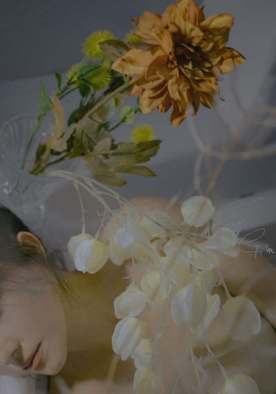 欧美蛇类的科幻电影_4K手机在线看